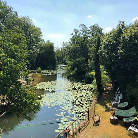 Вилла Magnifique Moulin Proche Chablis, Jacuzzi Et Riviere Annay-sur-Serein Экстерьер фото