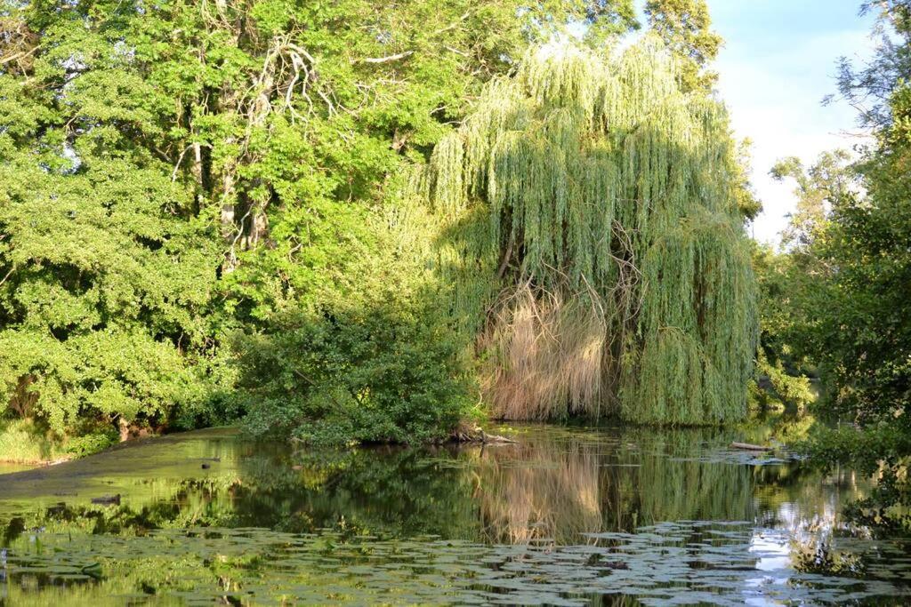 Вилла Magnifique Moulin Proche Chablis, Jacuzzi Et Riviere Annay-sur-Serein Экстерьер фото