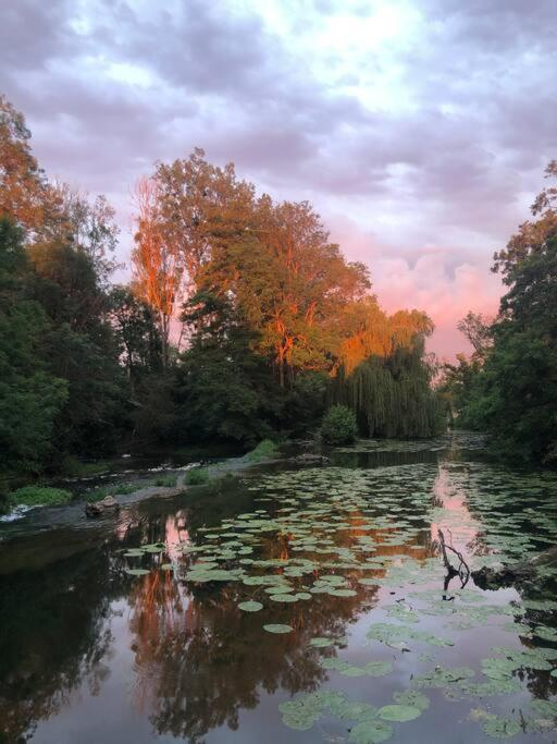 Вилла Magnifique Moulin Proche Chablis, Jacuzzi Et Riviere Annay-sur-Serein Экстерьер фото