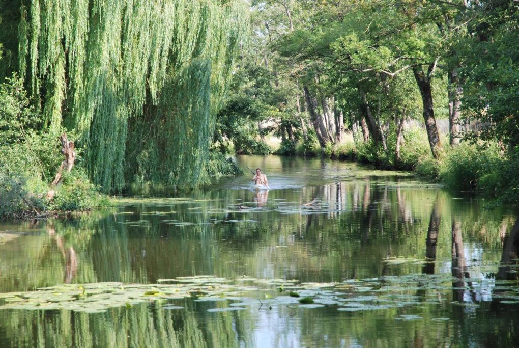 Вилла Magnifique Moulin Proche Chablis, Jacuzzi Et Riviere Annay-sur-Serein Экстерьер фото